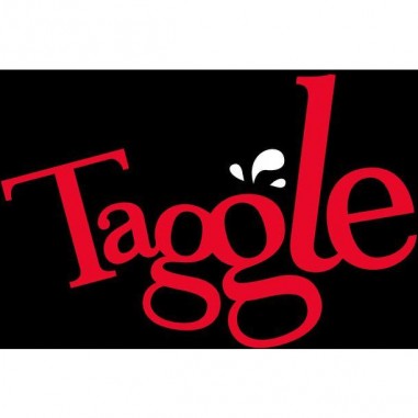 Taggle - Jeu de société - ledroitdeperdre.com - Le Droit De Perdre