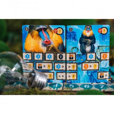 After Us - Jeux de société - Catch Up Games