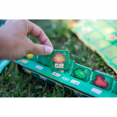 Living Forest - Kodama - Jeux de société - Ludonaute