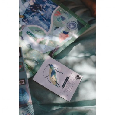 L'Enquête par Courrier - Nature et Insectes - Jeux de société - En Cavale