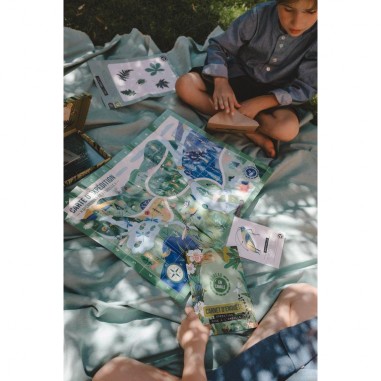 L'Enquête par Courrier - Nature et Insectes - Jeux de société - En Cavale