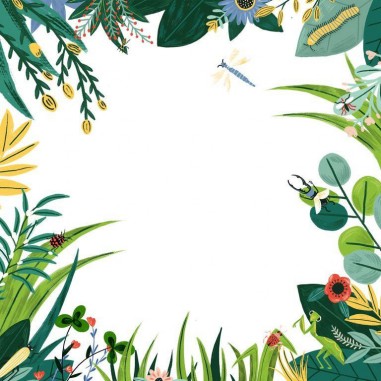 L'Enquête par Courrier - Nature et Insectes - Jeux de société - En Cavale