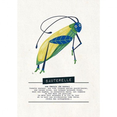 L'Enquête par Courrier - Nature et Insectes - Jeux de société - En Cavale