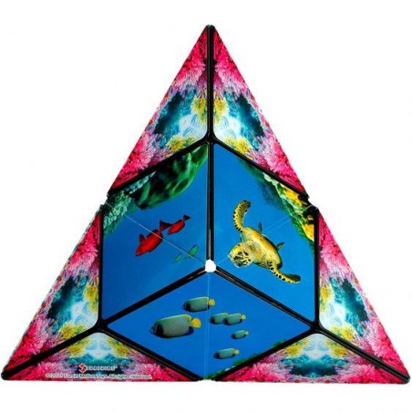 Shashibo Ocean - Jeux classiques - Fun In Motion Toys