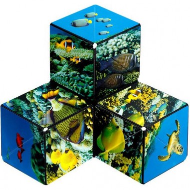 Shashibo Ocean - Jeux classiques - Fun In Motion Toys