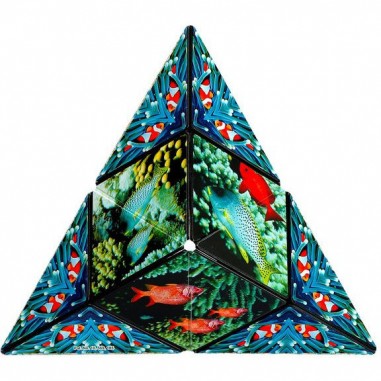 Shashibo Ocean - Jeux classiques - Fun In Motion Toys