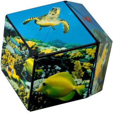 Shashibo Ocean - Jeux classiques - Fun In Motion Toys