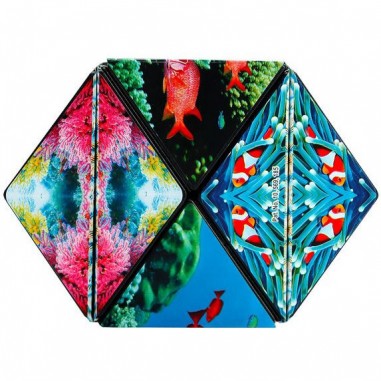 Shashibo Ocean - Jeux classiques - Fun In Motion Toys