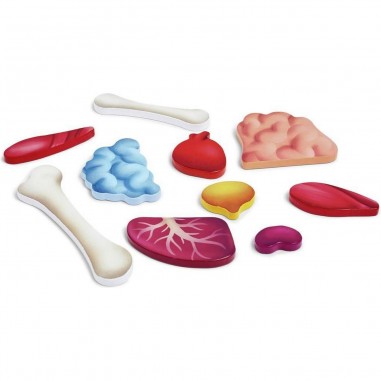 Puzzle corps humain 50 pièces - hape - Hape Toys