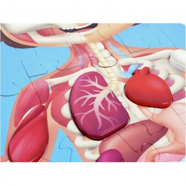 Puzzle corps humain 50 pièces - hape - Hape Toys