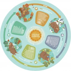 Puzzle circulaire 16 pièces : 4 saisons - Hape 2