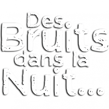 Des Bruits dans la Nuit - Jeux de société - Don't Panic Games