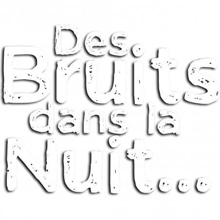 Des Bruits dans la Nuit - Jeux de société - Don't Panic Games
