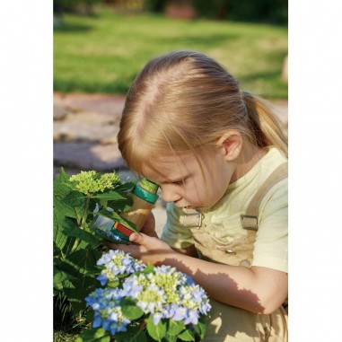 Microscope en bambou - Hape