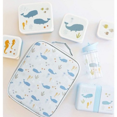 4 boites à goûter Océan - Lunch box enfant - A Little Lovely Company