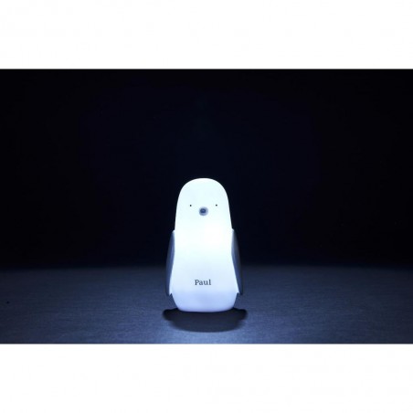 Veilleuse solo pingouin induction - Olala Boutique
