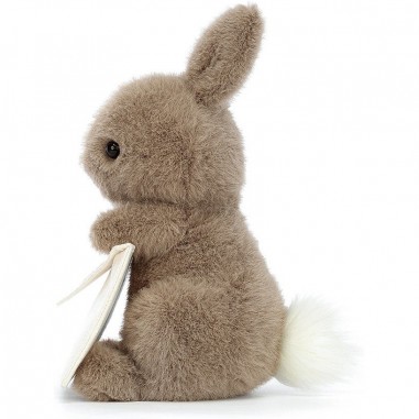 Lapin messager - Messenger Bunny - Jellycat