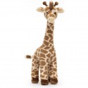 Peluche Dara Girafe - Giraffe - Jellycat