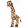 Peluche Dara Girafe - Giraffe - Jellycat