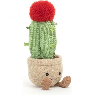 Coffret cadeau bébé personnalisé lange Cactus