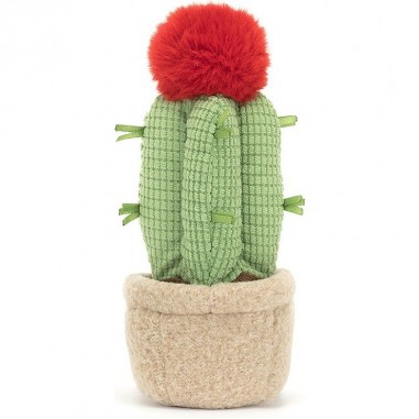 Cactus lune - Amuseable Moon - Jellycat