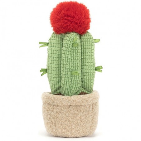 Cactus lune - Amuseable Moon - Jellycat