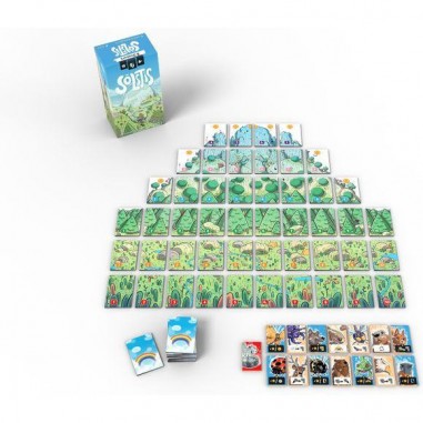 Solstis - Jeux de société - Lumberjacks-studio