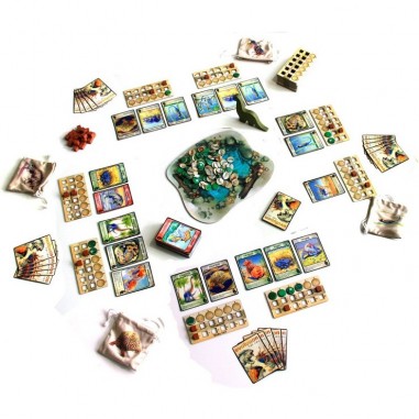 Evolution Vf - Jeu de société - Funforge