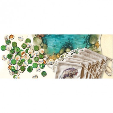 Evolution Vf - Jeu de société - Funforge