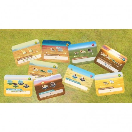 Wild: Serengeti - 404 Editions - Jeux de société - Don't Panic Games