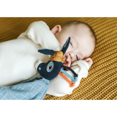 Doudou bio Ignace - Lilliputiens