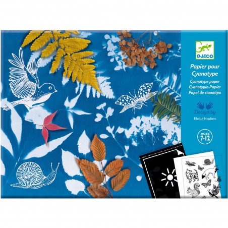 Cyanotype Starter Kit - Recharges de papier photosensible - Djeco