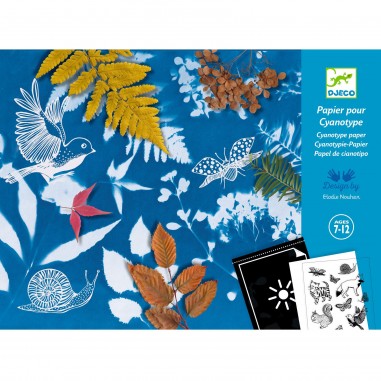 Cyanotype Starter Kit - Recharges de papier photosensible - Djeco