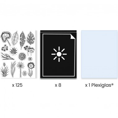 Coffret Cyanotype Savane nocturne - Papier photosensible - Djeco