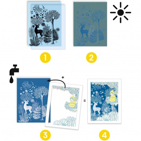 Coffret Cyanotype Au clair de la lune - Papier photosensible - Djeco