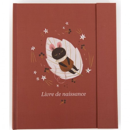 Livre de naissance Moulin Roty - Après la Pluie