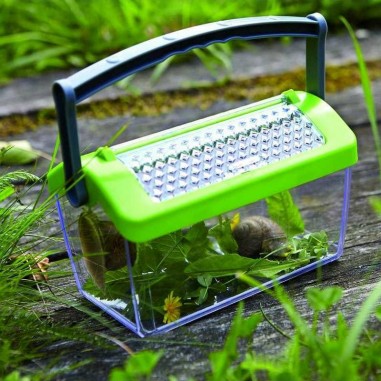 Boite à insectes Terra Kids Haba