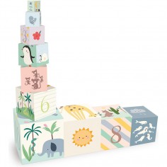 Cubes gigognes, Animaux du monde - Sarah Betz - Premières découvertes - Vilac