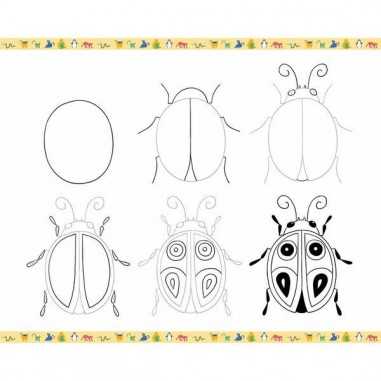Step by step Drawing Animaux - Loisirs créatifs - Janod