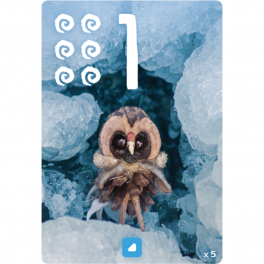 Pixies - Jeu de Société - Jeu de Cartes - Bombyx