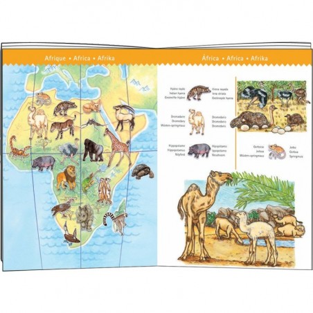 Puzzle Djeco 100 pièces - Animaux du Monde