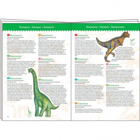 Puzzle Djeco 100 pièces - Dinosaures