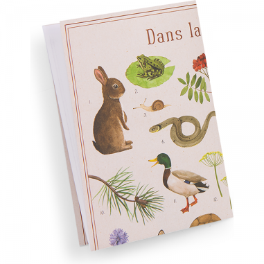 Coffret découverte Animaux du jardin - Le jardin du moulin - Le jardin du moulin - Moulin Roty