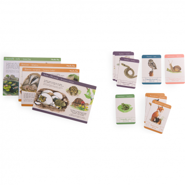 Coffret découverte Animaux du jardin - Le jardin du moulin - Le jardin du moulin - Moulin Roty