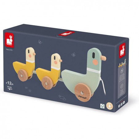 Canards à tirer - Janod