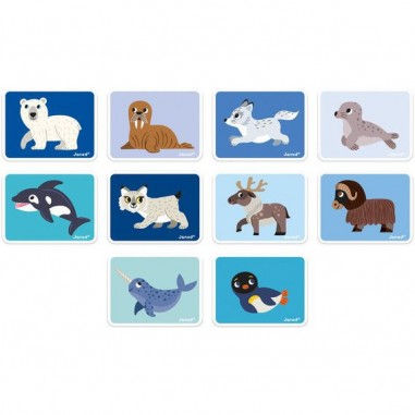 Magneti’book - animaux polaire - Janod