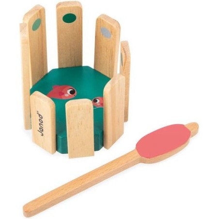 Box 36 mois : développer sa capacité - Janod