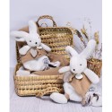 Coffret Doudou plat Lapin beige Blanc - Happy Wild - 25 cm - Doudou Et Compagnie