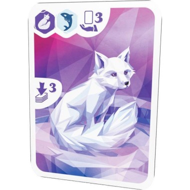 Arctic - Ludonaute