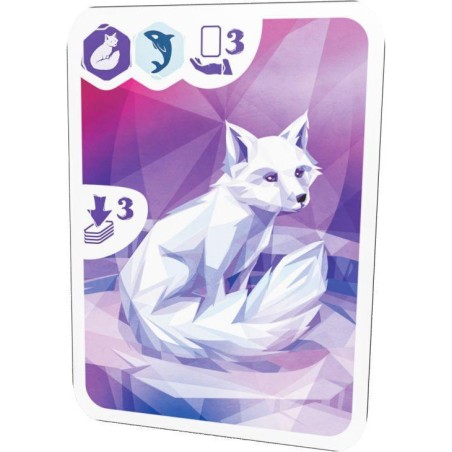Arctic - Ludonaute